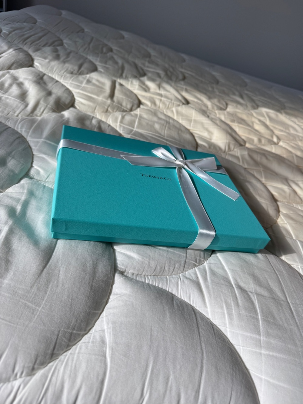 Tiffany & Co. Robin's Egg Blue Box with White Ribbon